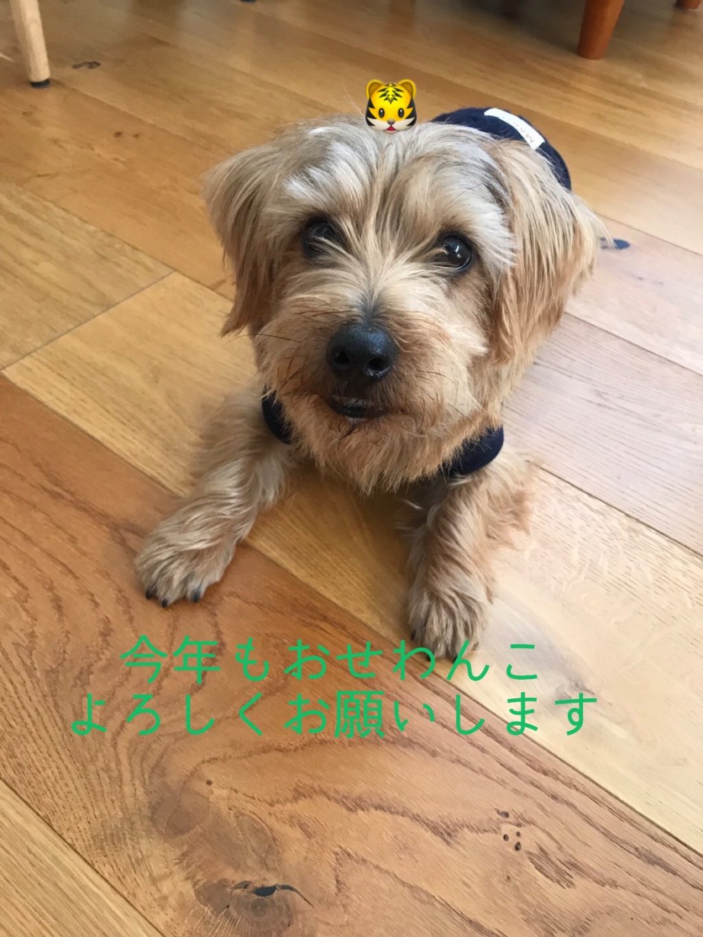 今年も楽しく♫