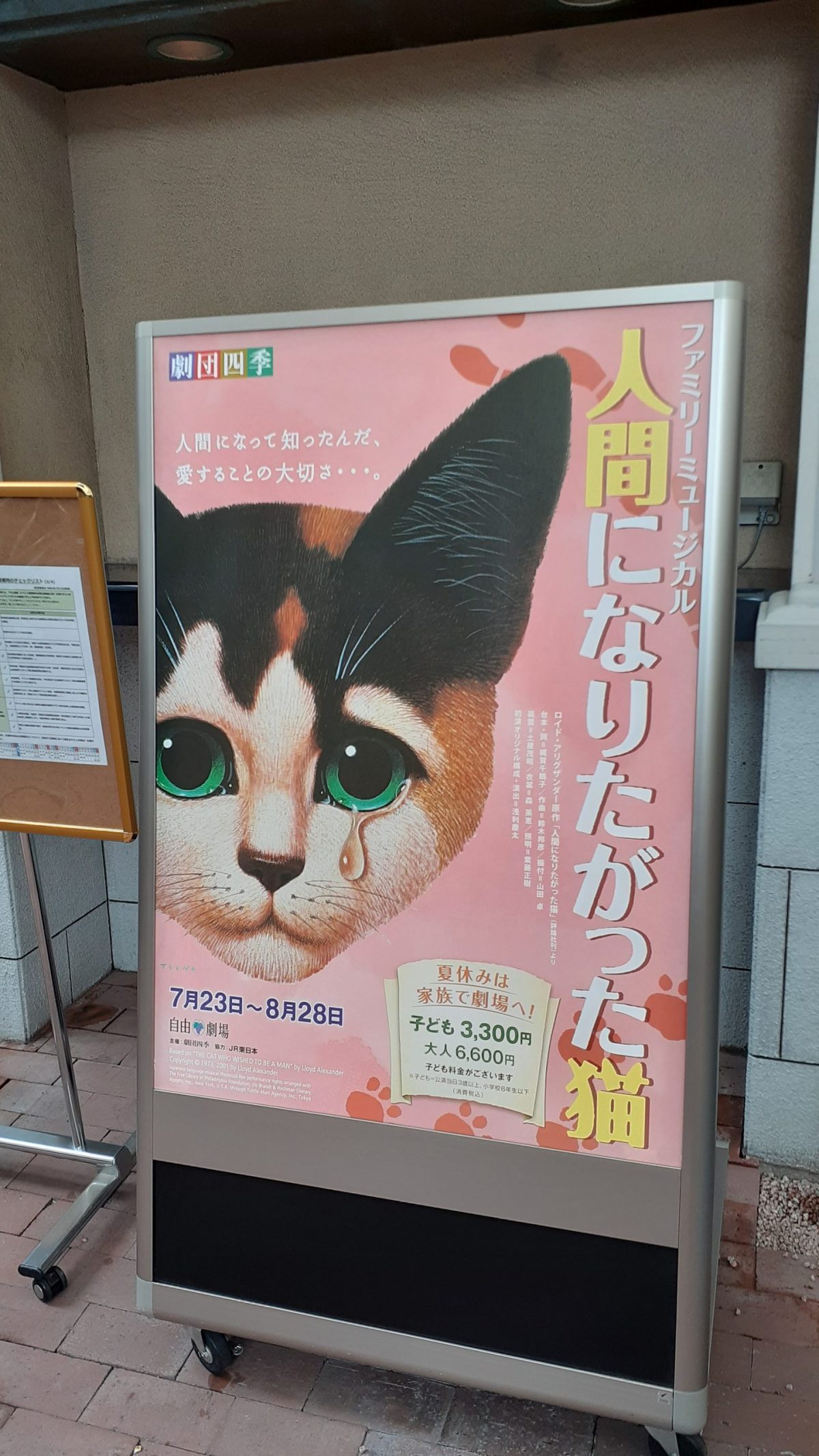夏の楽しみ★