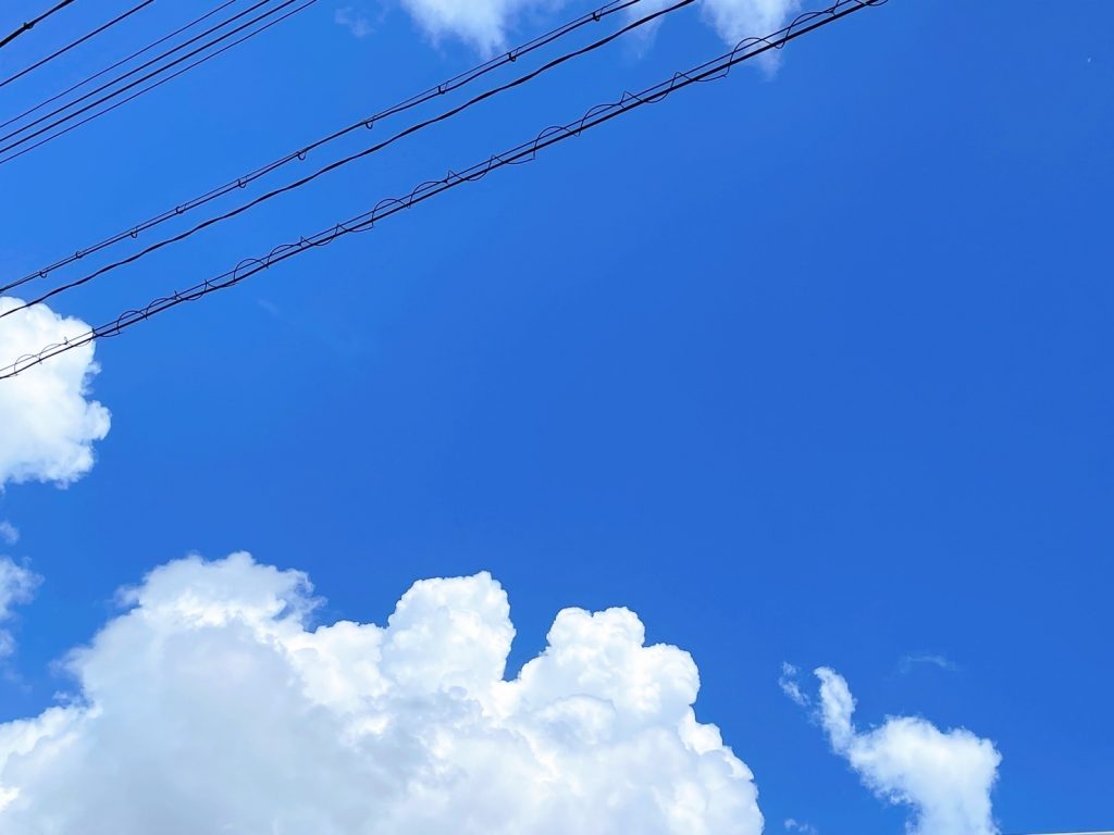 暑くても。。。