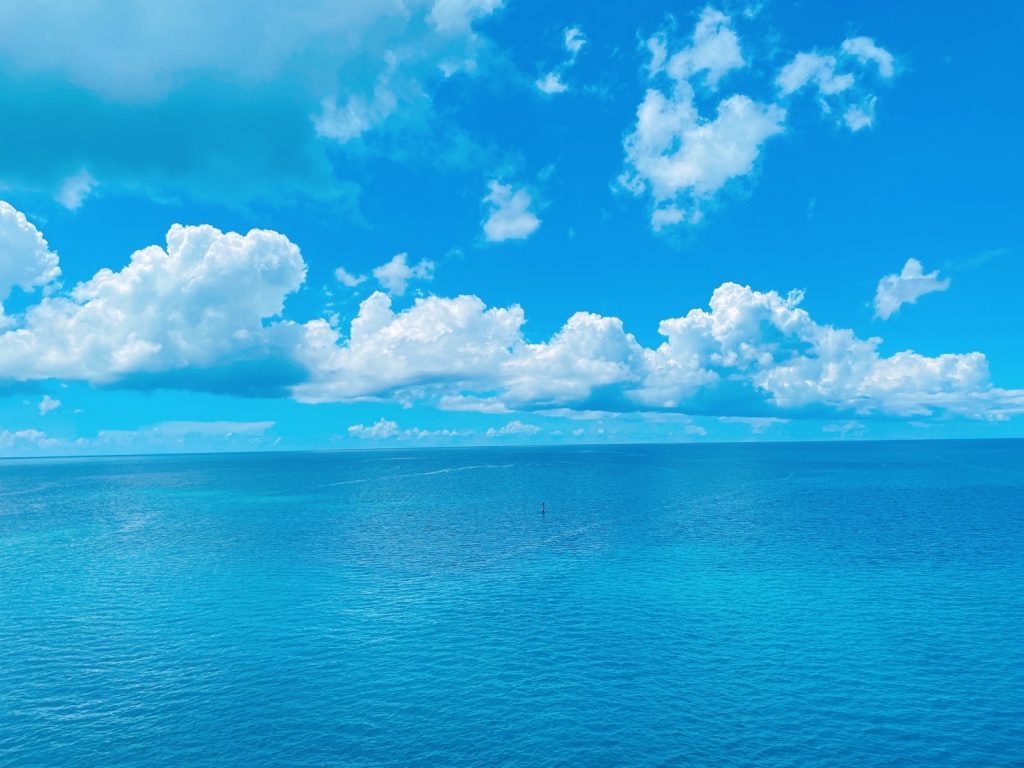 今年の夏は