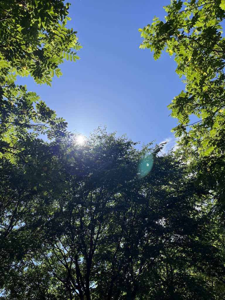 暑い夏がやってきたー