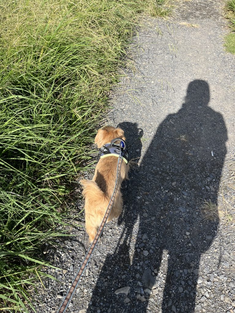 おせワンコ！！