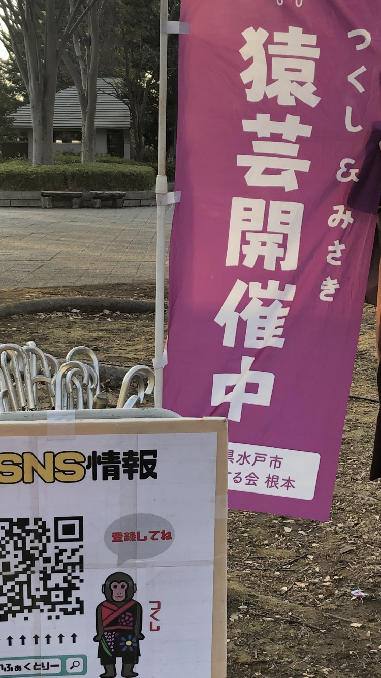 春、冬、春、冬、、、